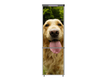 467.png