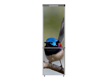 474.png