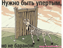 0200.png