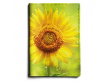 Sunflower.jpg
