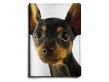 Chihuahua.jpg