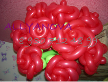 DSCN9960.JPG