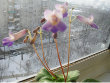 SDC14211.JPG