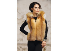 20000 ���.  951107FOXR20000.JPG