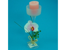 small_BL-04800.jpg