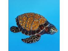 small_BP 1614K1.JPG