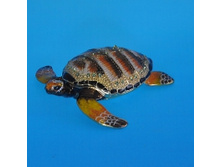 small_BP5400.jpg