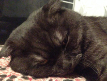 2014-01-11 21.04.49.jpg