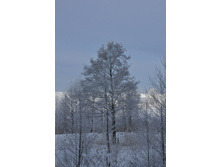 DSC_0032.JPG