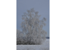 DSC_0040.JPG