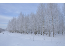 DSC_0073.JPG