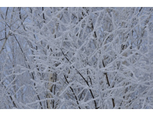 DSC_0080.JPG