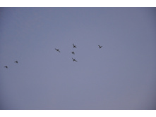DSC_1060.JPG
