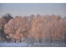 DSC_1071.JPG