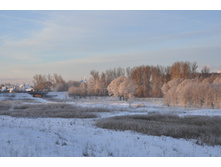 DSC_1074.JPG