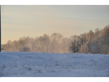 DSC_1083.JPG