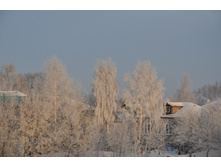 DSC_1089.JPG