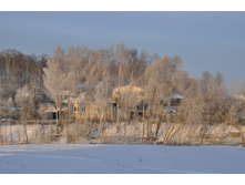 DSC_1092.JPG