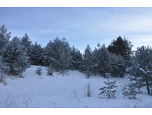 DSC_1123.JPG