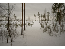 DSCF4588.jpg