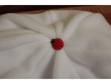 IMG_3520_thumb.jpg