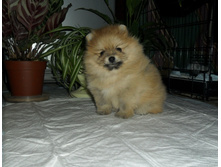 SAM_2119.jpg