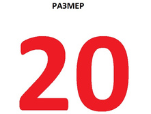 242.jpg