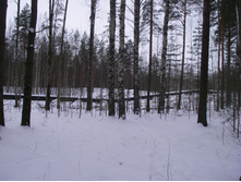 IMGP0077.JPG