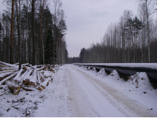 IMGP0079.JPG