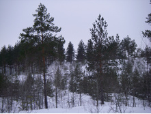 IMGP0128.JPG
