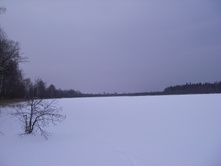 IMGP0146.JPG