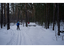 DSCF4701.jpg