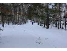 DSCF4733.JPG