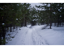 DSCF4763.jpg