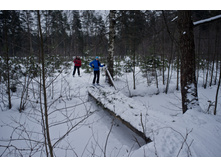 DSCF4788.jpg