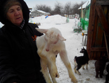 IMG_20140209_101650.jpg