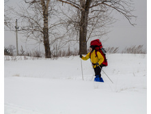 IMG_2380.jpg