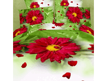 FX Gerbera.gif