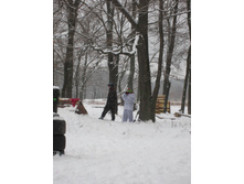 IMG_0951.JPG