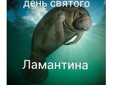 25PpSn0rJZw.jpg