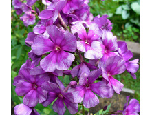 ������*
