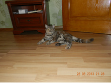 DSCN2913.JPG
