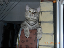 DSCN2619.JPG