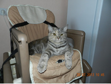 DSCN2635.JPG