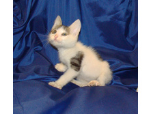 DSC01239.JPG