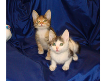 DSC01248.JPG