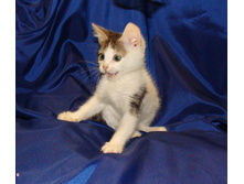 DSC01258.JPG