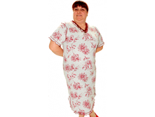 big-3480.png