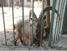 DSCF0642.jpg