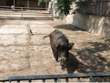 DSCF0640.jpg